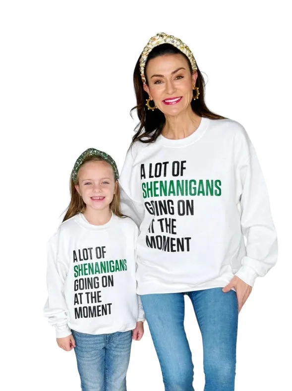 A Lot Of Shenanigans Going on at the Moment Youth Sweatshirt