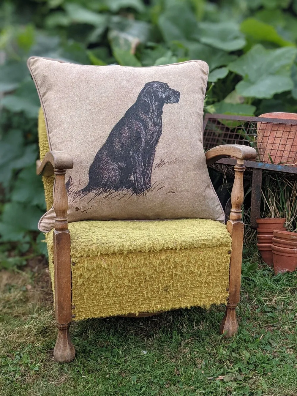 Cecil Aldin Black Labrador Large Square Cushion