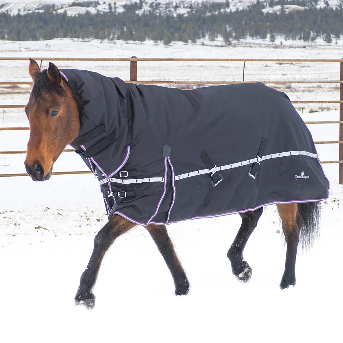 Classic Equine X Trainer 10K Blanket With Hood