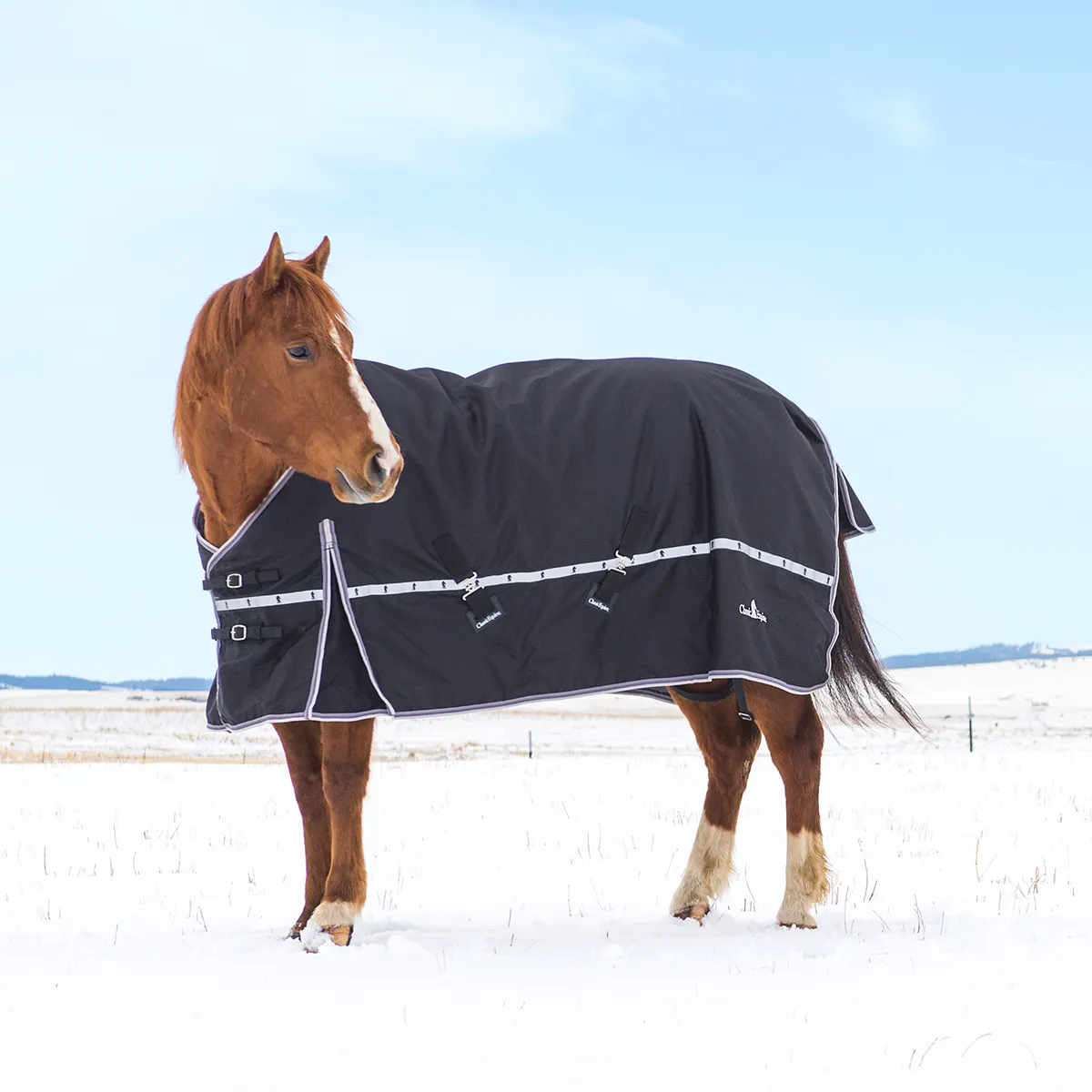 Classic Equine X Trainer 10K Blanket With Hood