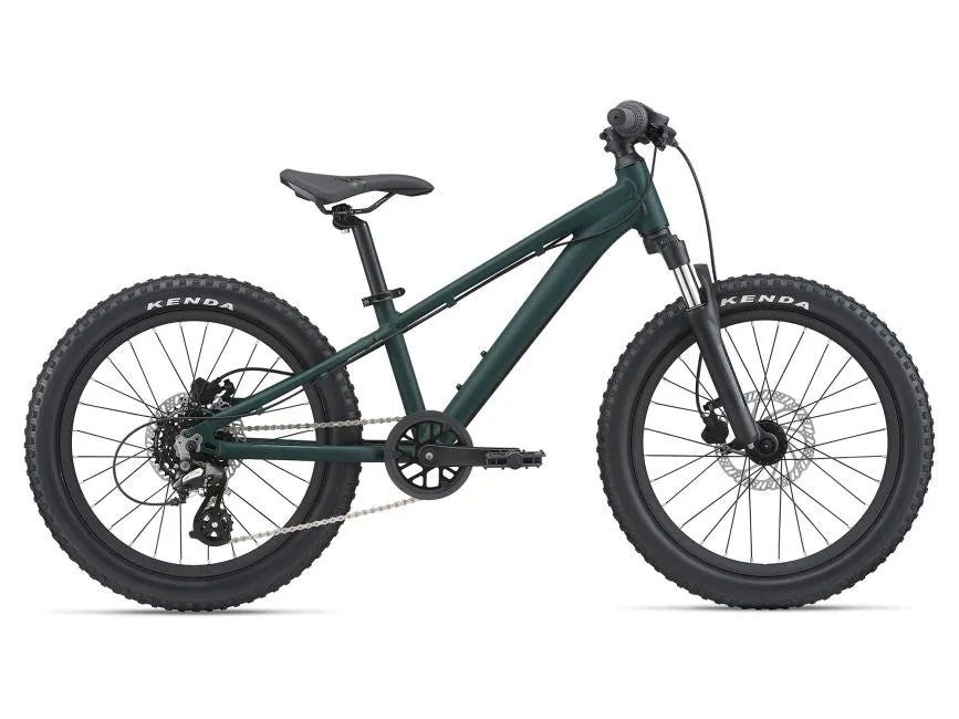 Kids Mountain Bike Rental 20