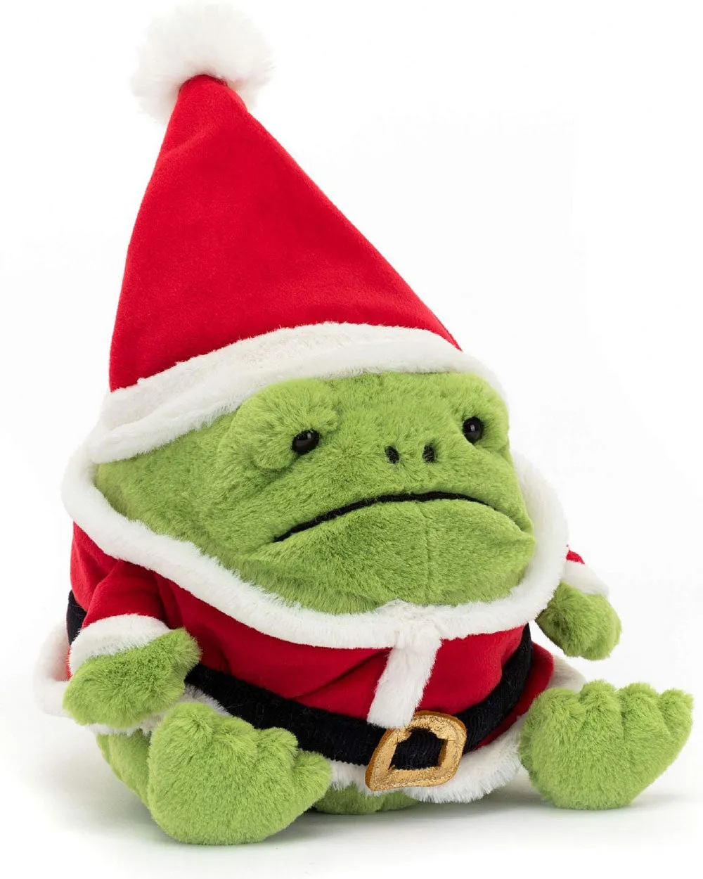 Santa Ricky Rain Frog