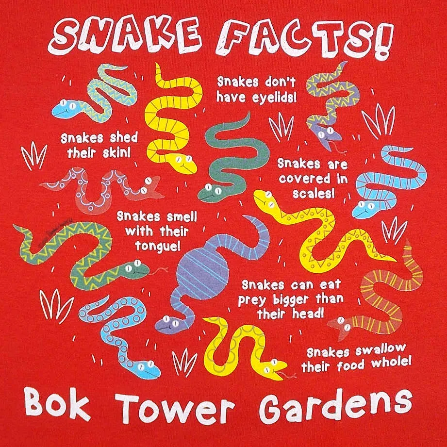 Youth Tee Shirt - Snake Facts